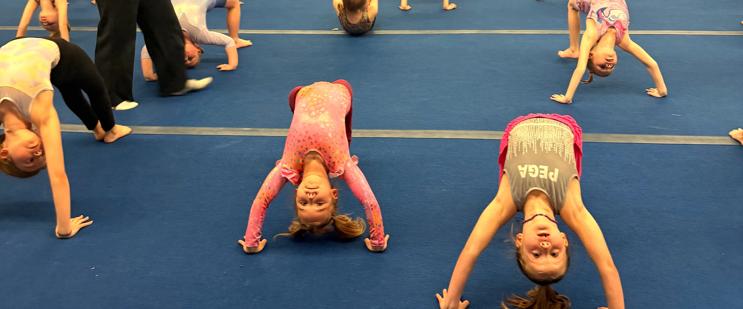 A full PEGA warm-up class doing bridges across the blue floor