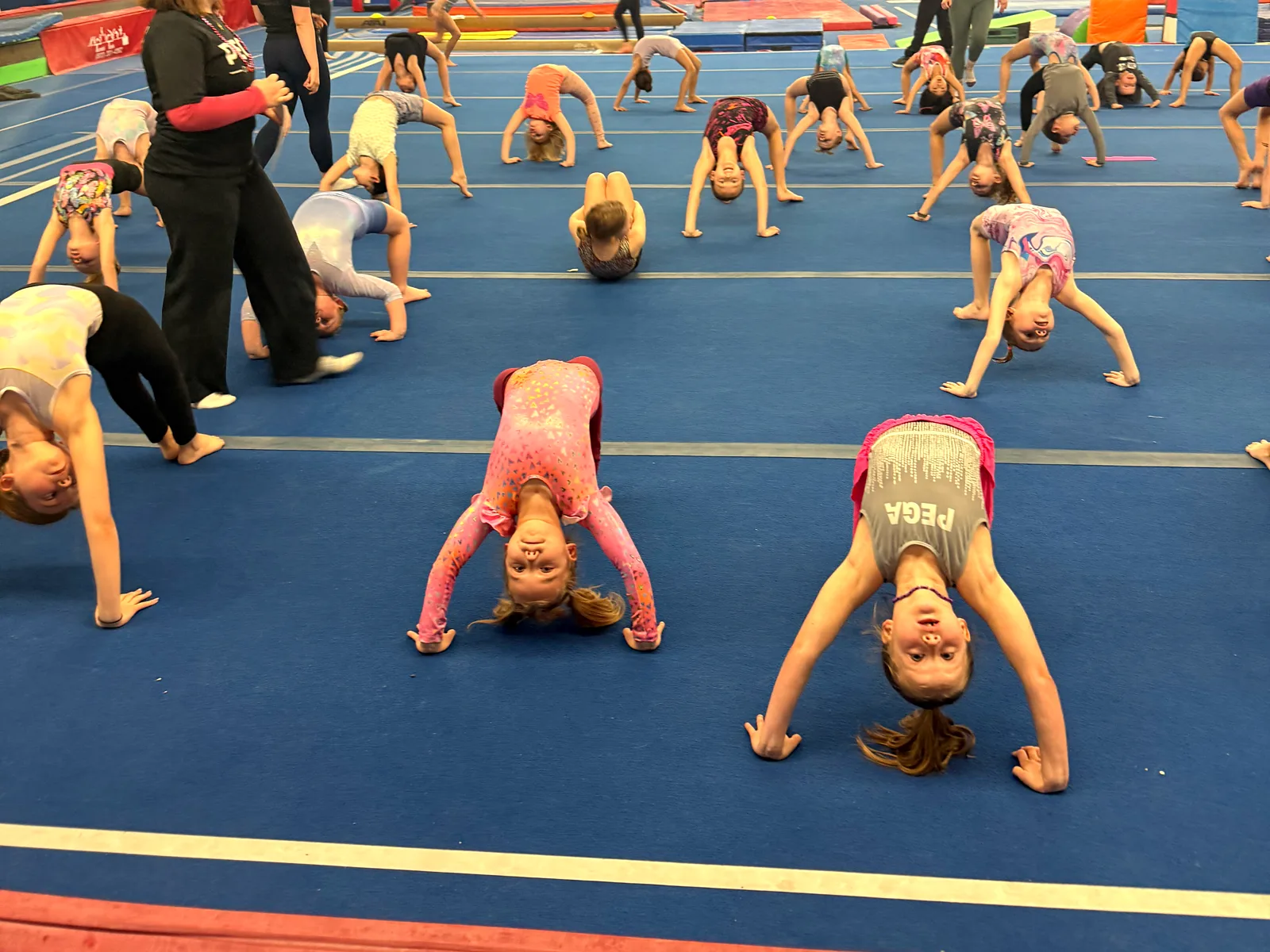 A PEGA warm-up class doing bridges across the blue floor, coaches walking the lines